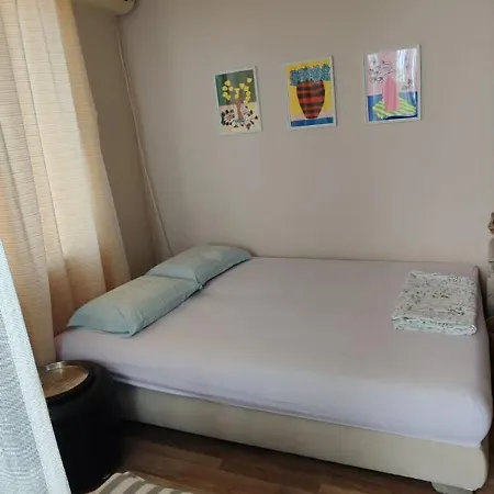 Art Place Katya Warna